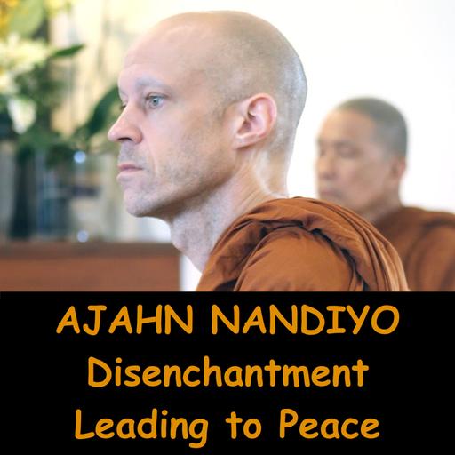 AJAHN NANDIYO | Disenchantment Leading to Peace | Buddhist Dhamma Talk | Dhammagiri Forest Hermitage
