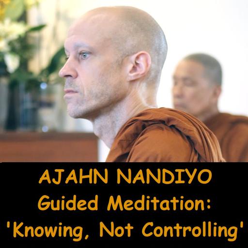 AJAHN NANDIYO | Guided Meditation | Knowing, Not Owning or Controlling | Vipassana | Insight