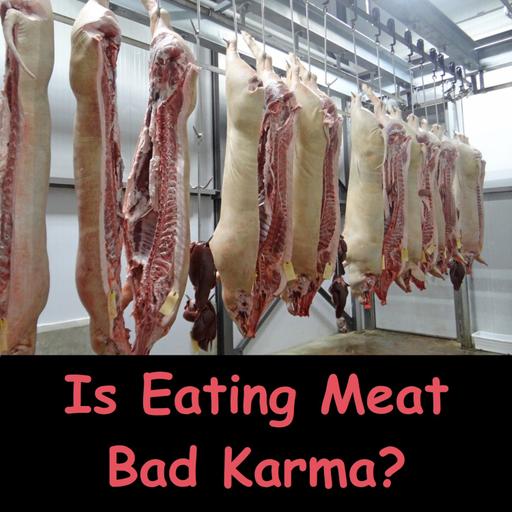 Is Eating Meat Bad Karma? | Are Buddhists Vegans? | Dhamma Talk | Ajahn Dhammasiha