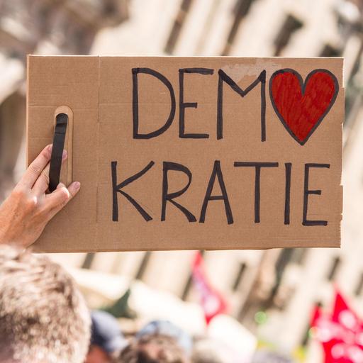 Politologe Arzheimer - Viele Menschen stehen fest auf dem Boden der Demokratie