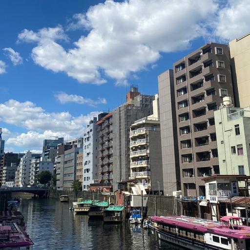 № 178 — Япония, Вьетнам (с Полиной)