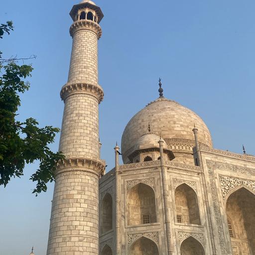 № 176 — Индия (с Полиной)