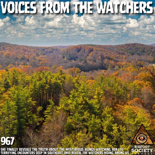 Shawnee Woman Reveals Southeast Ohio Bigfoot Encounter That Will Change Your Beliefs