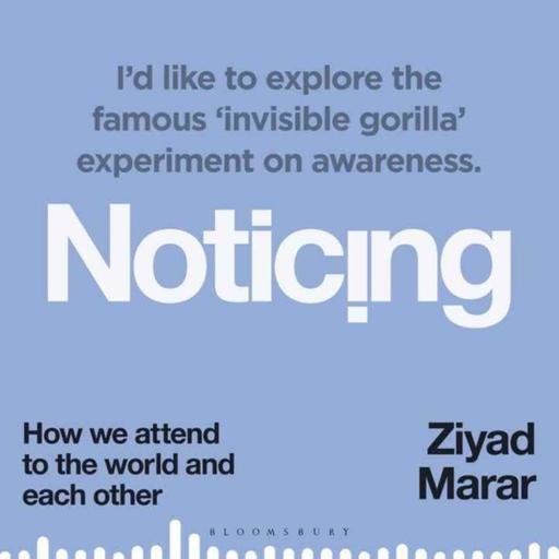 Little Atoms 977 - Ziyad Marar's Noticing