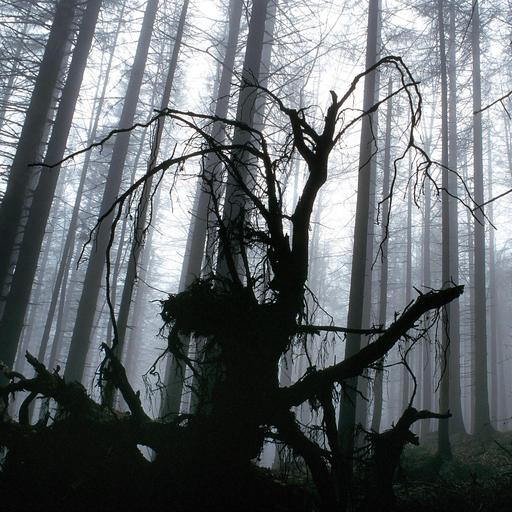 Magisches Bayern: Kräuterhexe von Schongau, Ex-Pfarrer im Doppeldeckerbus-Café Doppellecker, Geschichten aus dem Bayerischen Wald