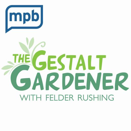 The Gestalt Gardener | Let's Get SCARY Dirty!