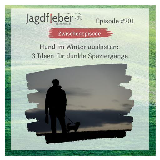 P201: Hund im Winter auslasten: 3 Ideen für dunkle Spaziergänge