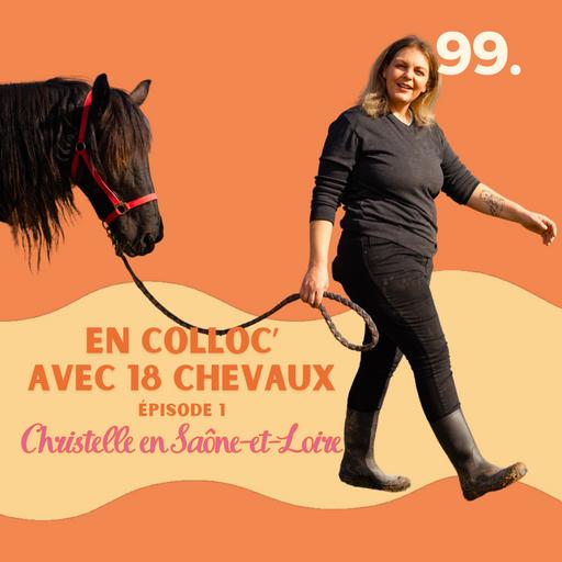 En colloc avec 18 chevaux, Christelle en Saône-et-Loire #99 l quitter Paris, demenager, changer de vie, reconversion, ville idéale, demenagement avec enfants, vivre a la campagne, Reconversion à la campagne, burn out, paris je te quitte, changer ma vie, p