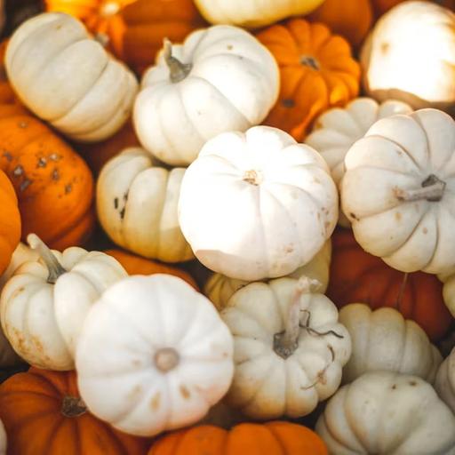 Ep. 446: Thanksgiving Listener Hacks Bonanza!