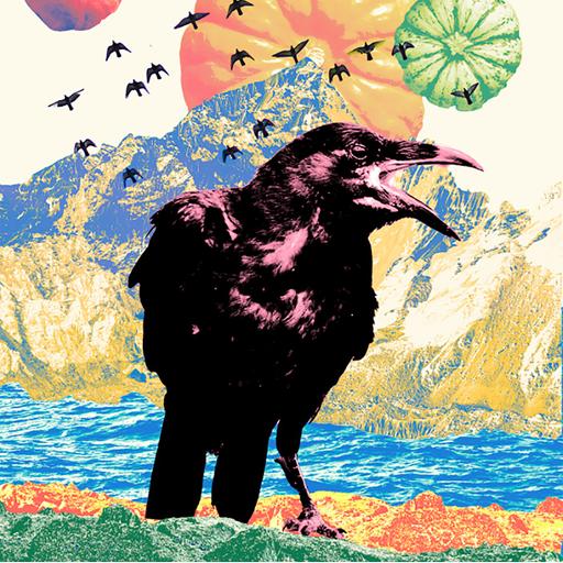 Flock Talk: Conversing with Crows