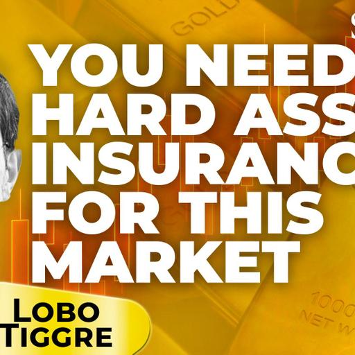 Hard Assets Are Your Insurance Now | Lobo Tiggre on Today’s AI Mania, Credit Cracks & Gold