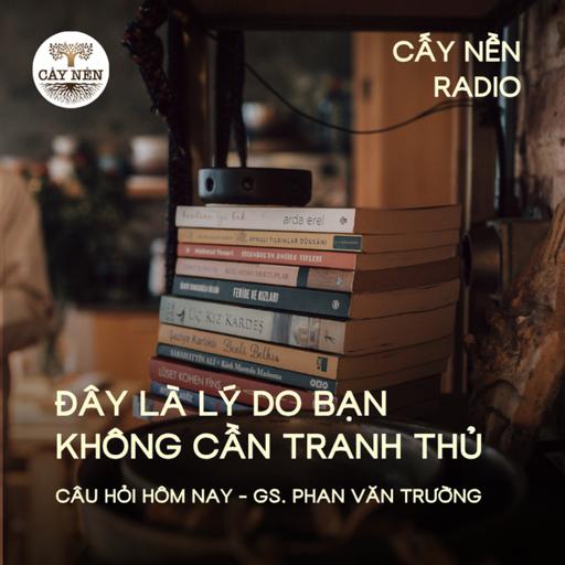 Đây là lý do bạn không cần tranh thủ | GS Phan Văn Trường | Giọng đọc: Đặng Hằng | Cấy Nền Radio