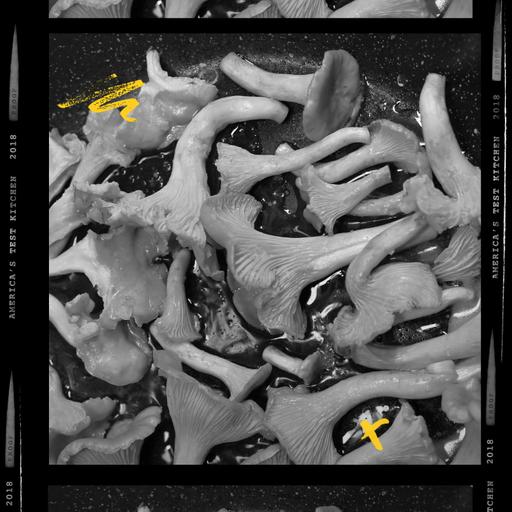 The (Social) Mushroom Network
