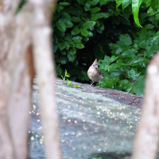 Praise Builds Courage