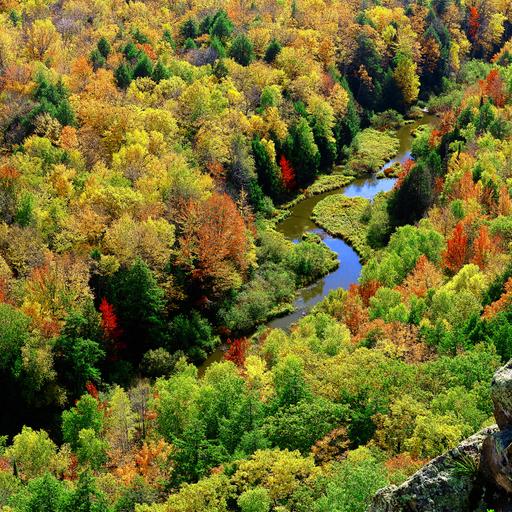 Prayers of Gratitude