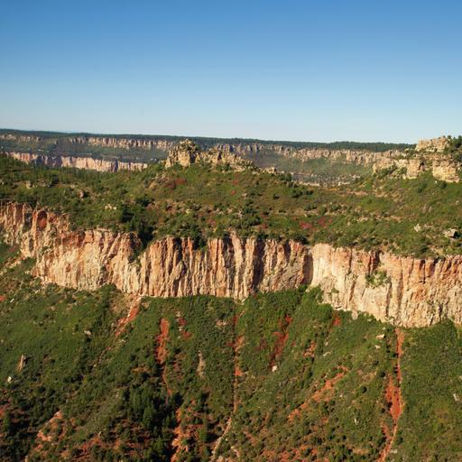 New Birth: God's Part