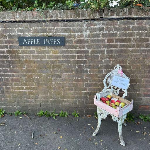 Fruit Tree Garden Tour UK: Exploring Sustainable Gardening, Espalier, Regenerative Orchard & Community Farming
