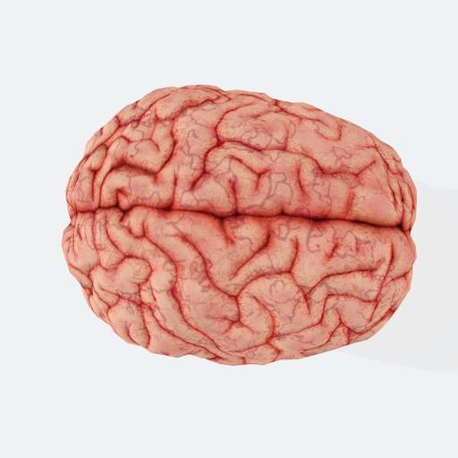 La hora rándom: ¿Qué edad tiene tu cerebro?