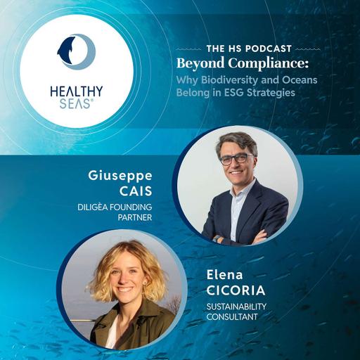 From Reporting to Real Impact: What Businesses Can Learn from ESG Consultants