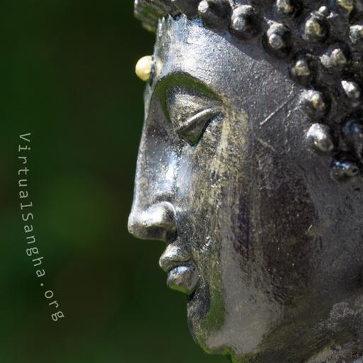 The Purpose of Precepts