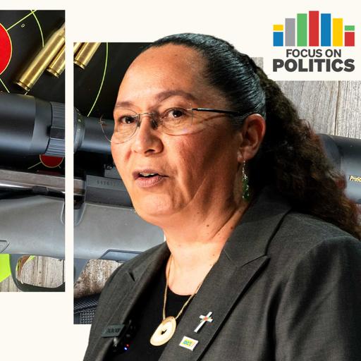 Coalition tempers ACT’s influence on gun laws