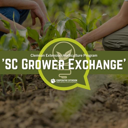 The SC Grower Exchange: December 1, 2025
