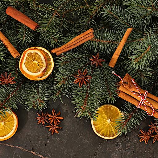 Nachhaltige Weihnachten: Stimmungsvolle Dekoration geht auch umweltfreundlich