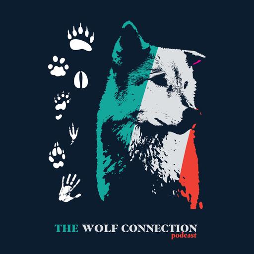 Episode #238 John Potter - His Journey to Wolf Connection