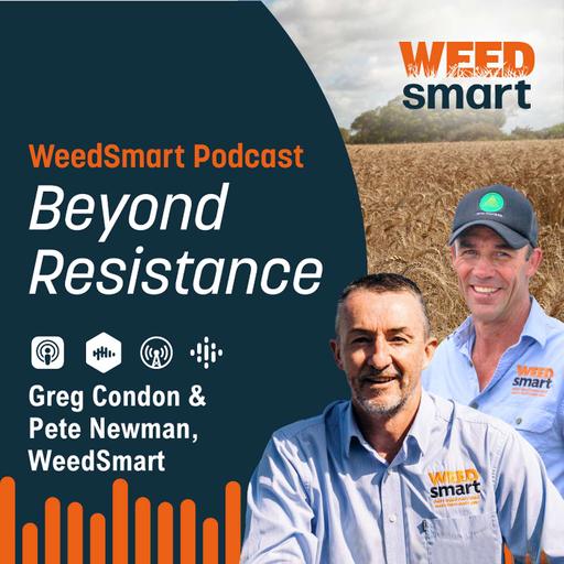 Beyond Resistance – Early harvest tips from around the Regions