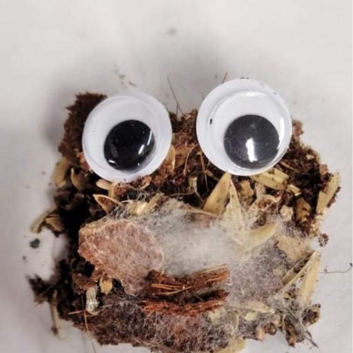 Episode 298 - Magical Variegation!