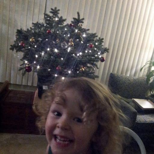 Episode 297 - Christmas Tree Sustainability