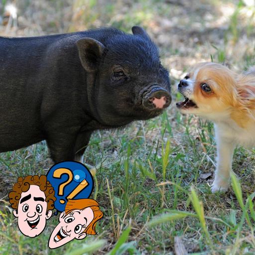 Können Tiere die Stimmen von anderen Tieren nachmachen?