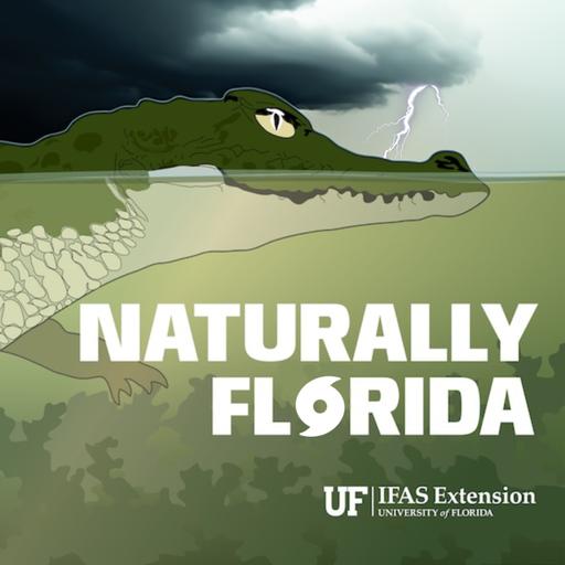 Inland Flooding: Hurricane Series, Part 3