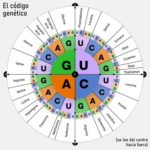 La Brújula de la Ciencia s15e06: El código genético, un diccionario para el ADN
