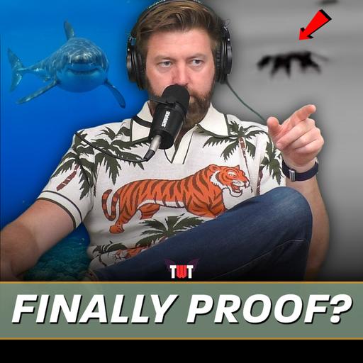 Potential Thylacine Footage Review, Dangerous Shark Diving & Rare White Beaver Spotted