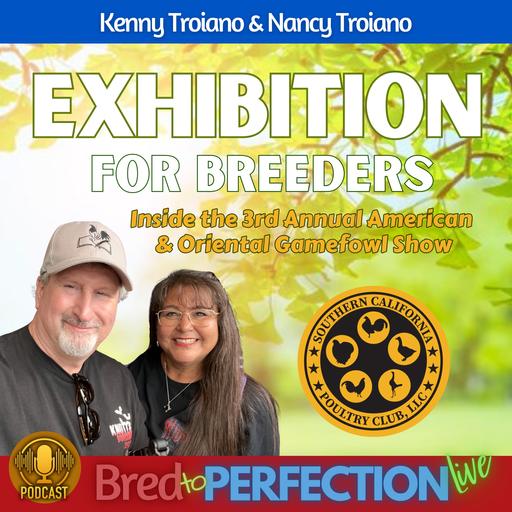 Ep267 – An Exhibition Built for Breeders: Inside the 3rd Annual American & Oriental Gamefowl Show