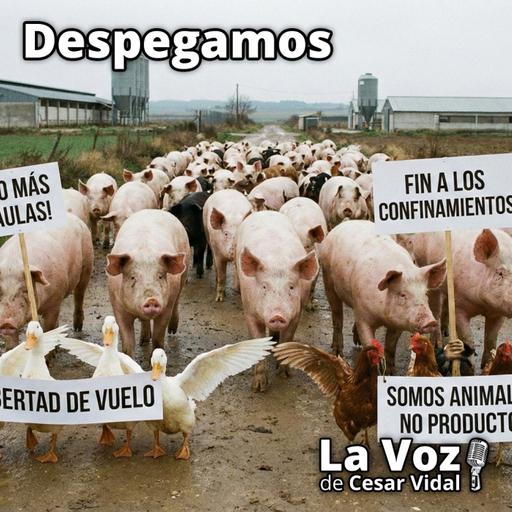 Despegamos: Búnker empresaurios, militarización europea, jugada húngara y confiscación española - 01/12/25