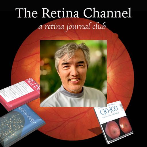 E92-3D Heads-up Display Surgery - Dr. David Chow