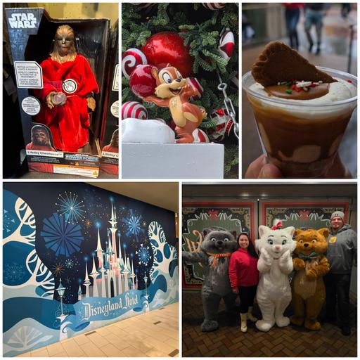 Episode 1,021 – Disneyland Resort Holidays, 2025