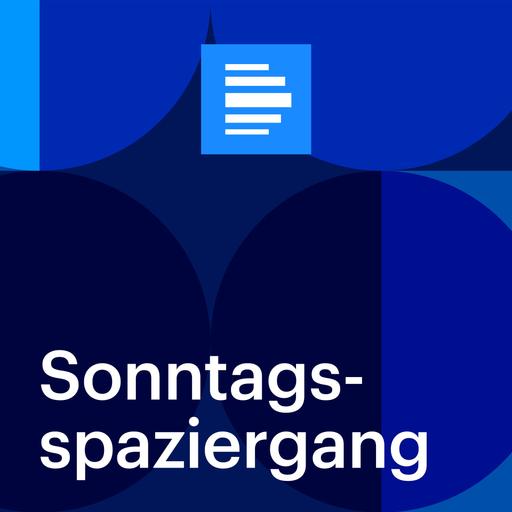 Sonntagsspaziergang vom 30.11.2025