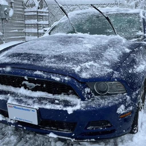 8 Tips for Storing Your Mustang This Winter