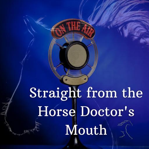 S8E23 Choosing the right NSAID for your Horse