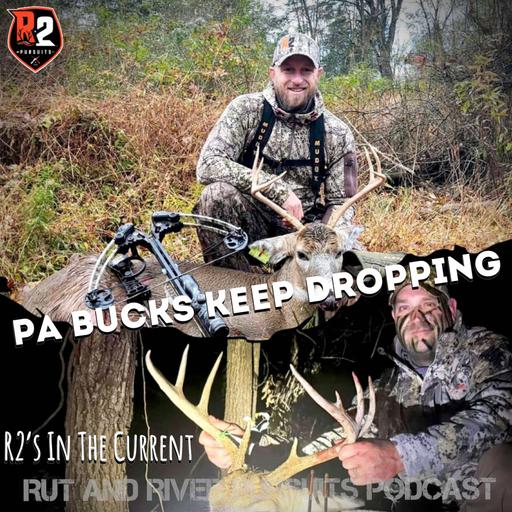 PA Bucks Keep Dropping - R2's In The Current