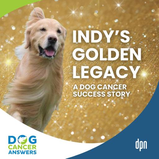 Dog Cancer Success Story: Indy’s Golden Legacy and Inspiring Impact | Dr. Mike Lappin, Kimberly Peri #297