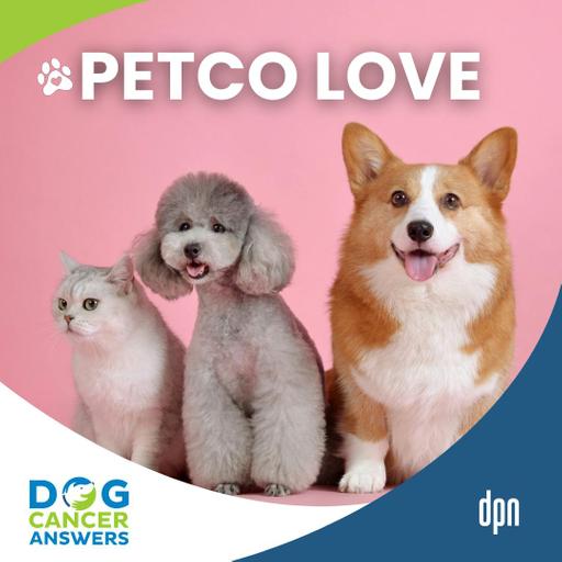 Lost Pets, Free Vaccines, and Cancer Research: Petco Love's Game-Changing Initiatives | Susanne Kogut #296