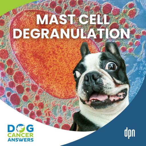 Mast Cell Degranulation: Life-Saving Insights for Dog Lovers Facing Mast Cell Tumors | Dr. Brooke Britton #295