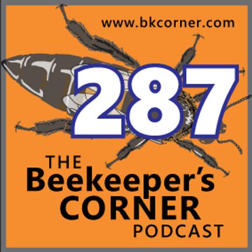 BKCorner Episode 287 - Bravo Andrew
