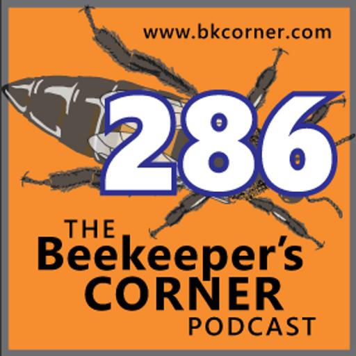 BKCorner Episode 286 - Foxhound