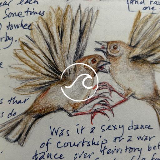 【随机波动】王放：蹲下来看看荒草吧，在哪都能探索自然