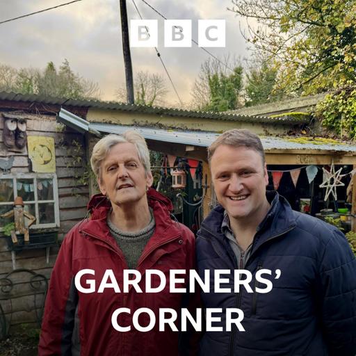 Must-have heathers, Brendan’s back yard and coming up trumps with stumps